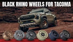 Black Rhino